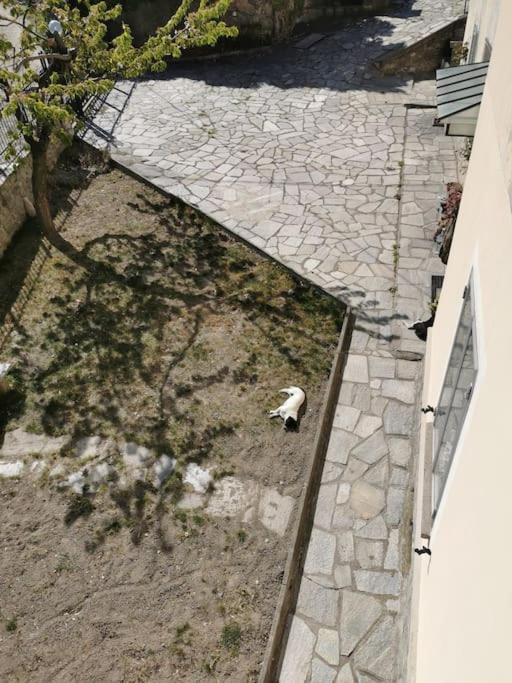 Da Mama Rose! Lägenhet Bussoleno Exteriör bild